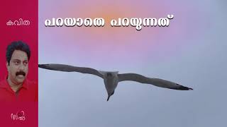 പറയാതെ പറയുന്നത് (Parayathe parayunnath) By Salil Valiparambil