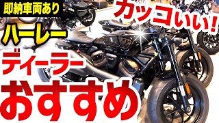 【ハーレーダビッドソン購入検討の方へ】ディーラーお勧めのバイク！あのターミネーターが乗っていた車両！即納車両も！【Motovlog】