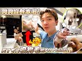 狗狗搬新家啦！但Tara开始鼻子敏感，买了专门对付狗狗的Levoit Pet Purifier！