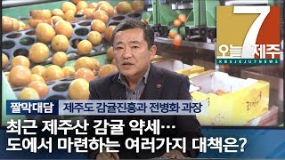 [7시오늘제주 / 191217 짤막 대담] 제주도 감귤진흥과 전병화 과장