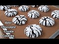 Best Fudgy and Chewy Chocolate Crinkle