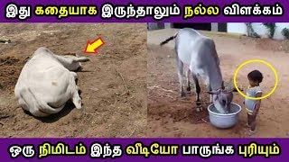 இணையத்தில் பல கோடி பேருக்கு மிகவும் புடித்த வீடியோ Latest  Tamil Cinema News Kollywood News