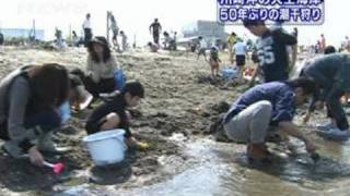 川崎市の人工の海岸で50年ぶりに潮干狩りが復活（10/05/02）