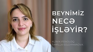 BEYNİMİZ NECƏ İŞLƏYİR? | KLİNİK PSİXOLOQ TAMİLLA SULEYMANOVA