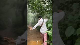 Relaxing video nature