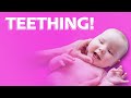 The Truth About Teething: Everything Parents Need to Know!