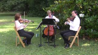 String trio, outdoor wedding music, Columbia SC