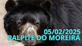 PALPITE DO DIA 05/02/2025-JB