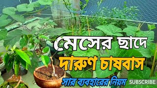 মেসের ছাদে সবজি চাষ 🙆‍♂️🌶️🌽🍆 | গাছে কী সার ব্যবহার করি | ছাদে সবজি চাষ ও বনসাই তৈরির নিয়ম