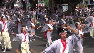 倭乃国（よさこい祭り2014）全国大会・追手筋北①