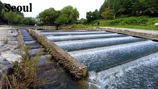 Walking in Seoul Yangjaecheon Stream, Peaceful Sunday 8 am (Subtitle)