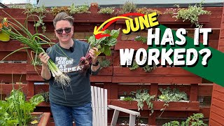 Has it worked? The June sowing and growing review