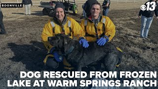 Firefighters rescue dog from a partially frozen lake at Warm Springs Ranch