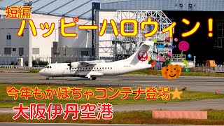 【大阪伊丹空港】ハッピーハロウィン！　かぼちゃコンテナ登場！