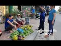 Robert's vegetable products sold out in 5 minutes. Green forest life (ep241)