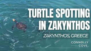 Turtle Spotting in Zakynthos | Greece | Caretta Caretta Turtles | Loggerheads | Travel Vlog