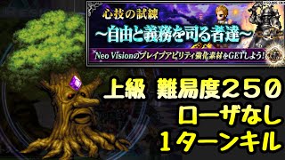 【FFBE】心技の試練 自由と義務を司る者達 上級 ローザなし、1ターンキル FFブレイブエクスヴィアス