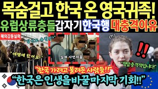 [해외감동사연] 유럽 상류층들이 한국으로 몰려오고 있다. 대충격!!