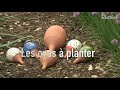 quels oyas choisir pour arroser les potées et jardinières