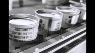 High Capacity 100ml Canning Line