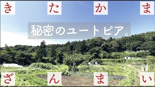 ◆北鎌倉vlog◆秘密のユートピア。｜#14｜きたかまざんまい｜暮らし