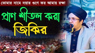 প্রাণ শীতল করা জিকির || খাজা মাহবুবুর রহমান জগৎপুরী || জিকির টিভি || Khaja Mahbubur Rahman jagatpuri