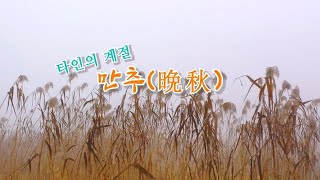 타인의 계절 '만추(晩秋)' - 강하면 산수로 습지의 만추