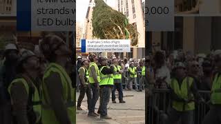 Rockefeller Center Christmas tree arrives in NY