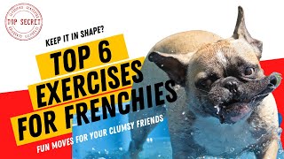 The Top 6 French Bulldog Exercises To Keep Them Happy and Healthy
