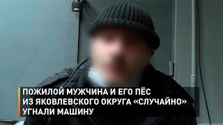 Пожилой мужчина и его пёс из Яковлевского округа «случайно» угнали машину