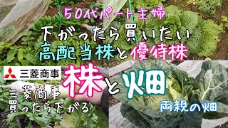 【三菱商事買いました】下がったら買いたい高配当株＆優待株と両親の畑の様子