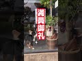 大型犬を迎えたいならここへ行け〜ふれあいカフェloa〜静岡県沼津市