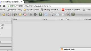 Overview Of Rutorrent And Its Functions