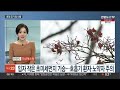 일요와이드 휴일 올들어 가장 따뜻…곳곳 미세먼지 말썽 연합뉴스tv yonhapnewstv