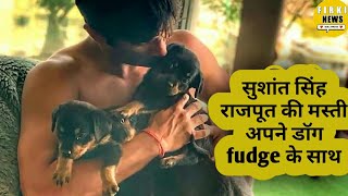 Sushant Singh Rajput Dog Video Playing With Him | Sushant Singh Rajput LOVED His Dog Fudge