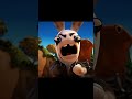 rabbid shorts edit viralvideo rabbit memes