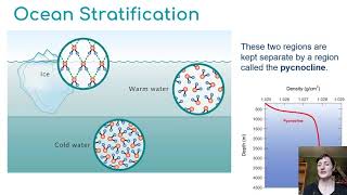 Oceans Part 1: Density \u0026 Stratification