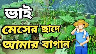 মেসের ছাদে আমার সবজি বাগান 😀🍆🍅🌶️ | বেছেলরের ছাদ বাগান | ছাদবাগান করার নিয়ম।