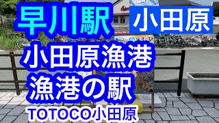 【小田原】早川駅 散策！/ 小田原漁港 / 小田原さかなセンター / 漁港の駅 TOTOCO小田原 / Seaside trip in Japan , Kanagawa ,  Odawara