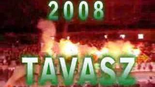 2008 TAVASZ