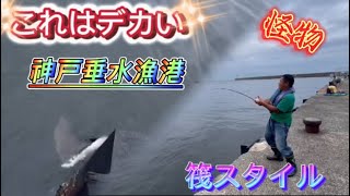 神戸垂水漁港【ボラ名人】これはデカい‼大物　怪物との戦い⁉筏竿でスーパーバトル❕