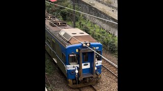 2023/01/07 台鐵 第4177次區間車 EMU500型電聯車 瑞芳 雙單線運轉 明燈路平交道 通過