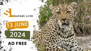 SafariLIVE Sunrise - 13 June 2024 -  AD FREE