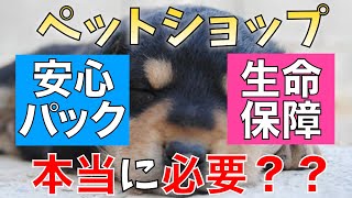 【ペットショップで犬を飼うなら知っておくべき】犬を買うときの安心パック・生命保証は本当に必要なの？