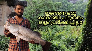 ഒട്ടും പ്രദീക്ഷിക്കാതെ കിട്ടിയ മീനുകൾ || barramundi and mj fishing || psycho angler kerala fishing