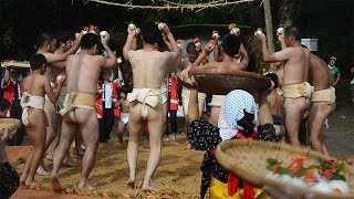 豊作を神に感謝「油井の豊年踊り」　奄美大島