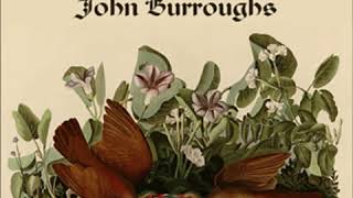 John James Audubon by John BURROUGHS read by Laura Caldwell | Full Audio Book