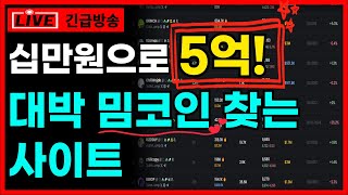 천기누설! 십만원으로 5억! 대박 밈코인 찾는 사이트 공개