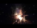 Taylor Swift - willow (lonely witch version) - [yule log]