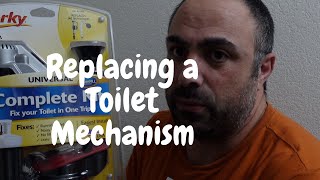 Replacing a toilet mechanism